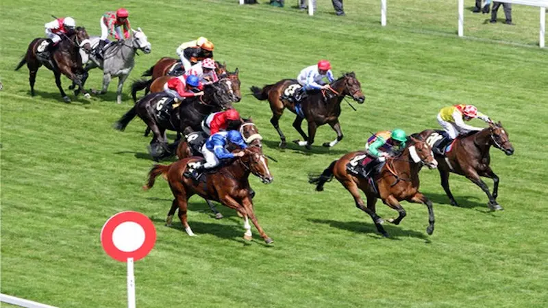 競馬のオッズを把握する