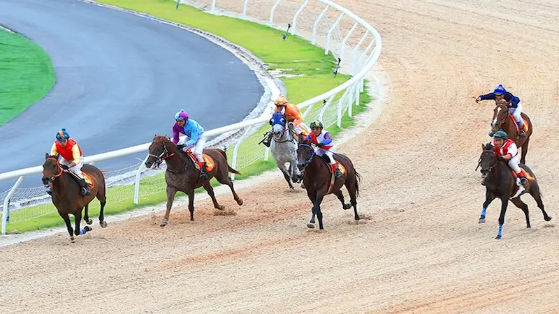 競馬賭博資金を効果的に管理する